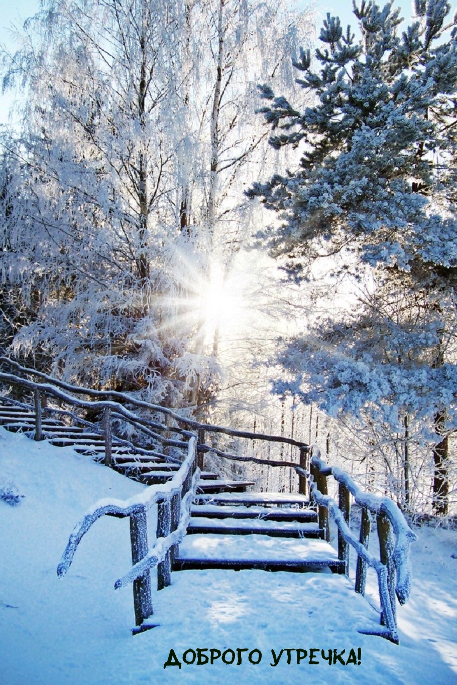 Доброго утречка!