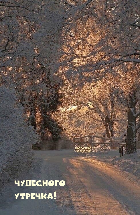 Чудесного утречка!