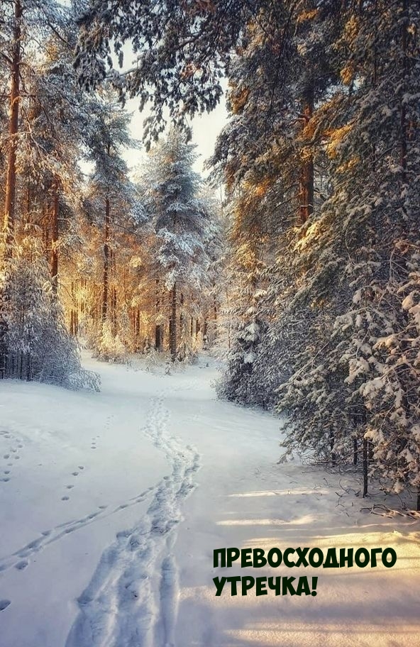 Превосходного утречка!