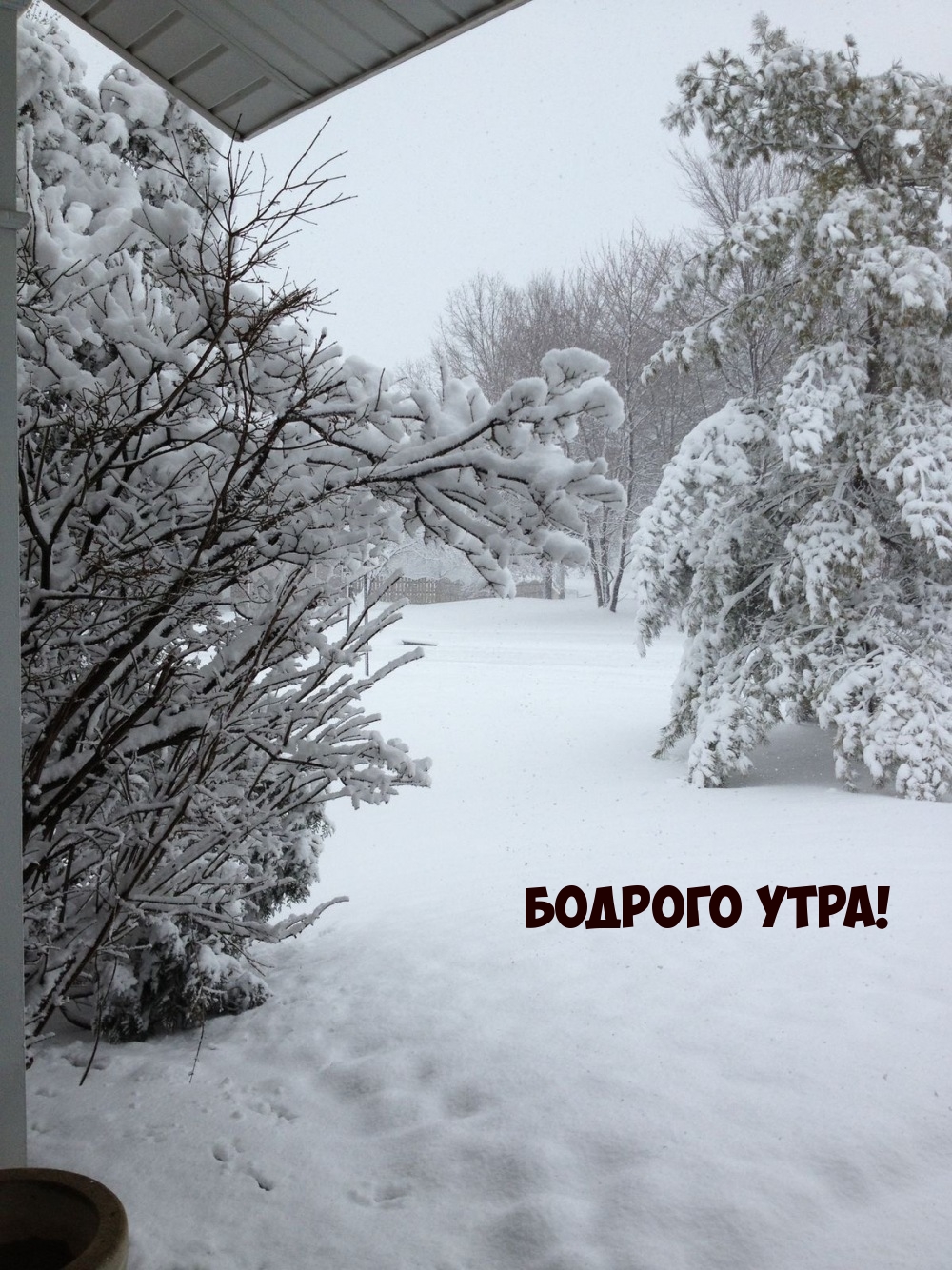 Бодрого утра!