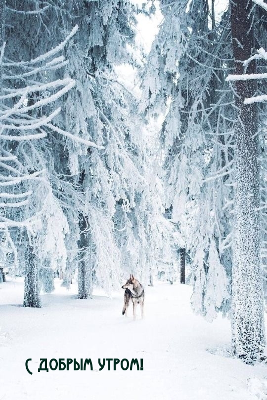 С добрым утром!