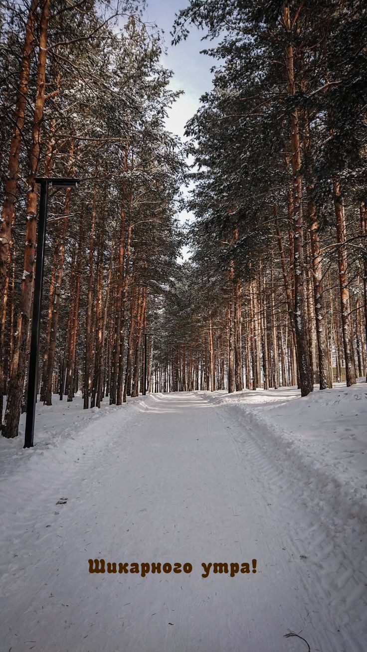 Шикарного утра!