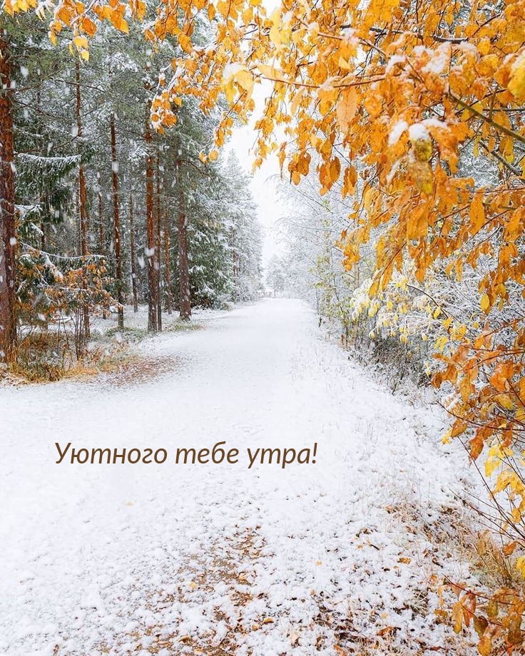 Уютного тебе утра!