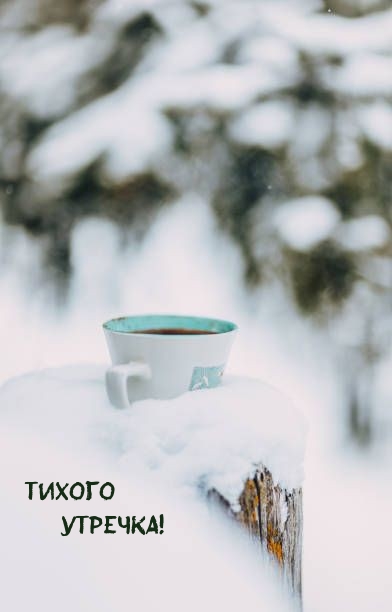 Тихого утречка!