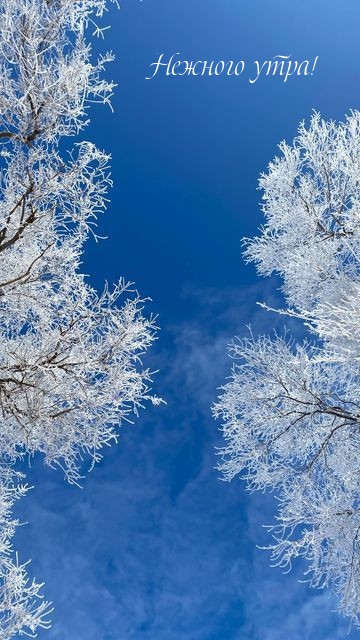 Нежного утра!