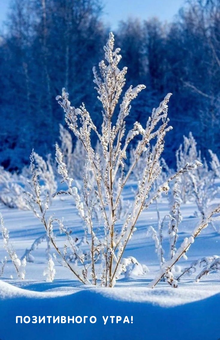 Позитивного утра!