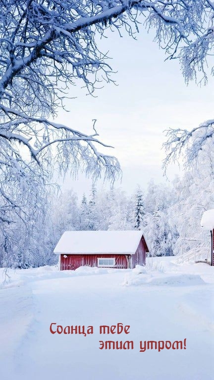 Солнца тебе этим утром!