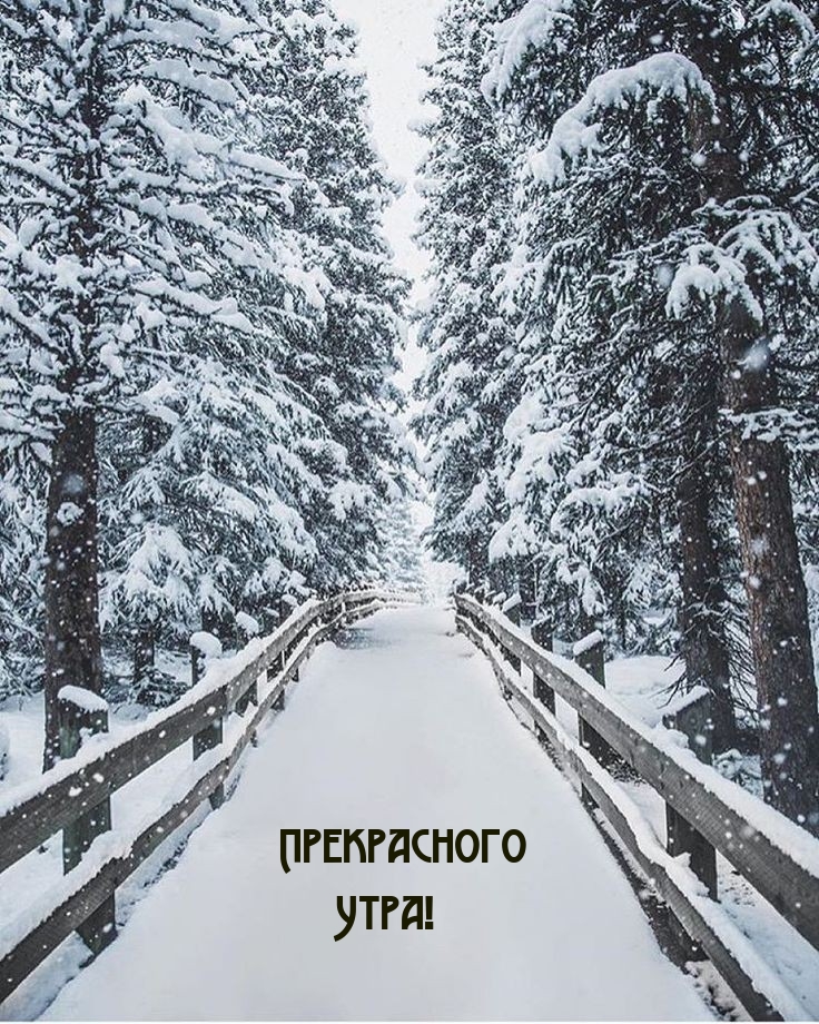 Прекрасного Утра!