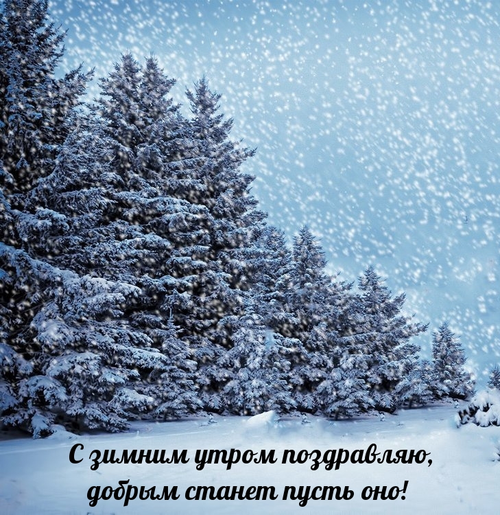 С зимним утром поздравляю, добрым станет пусть оно!