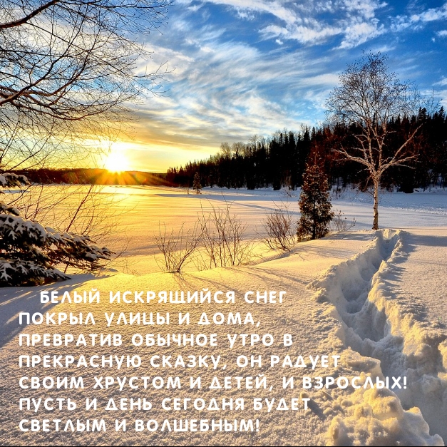 Белый искрящийся снег покрыл улицы и дома