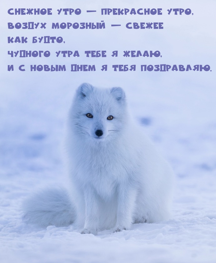 Снежное утро — прекрасное утро, воздух морозный — свежее будто