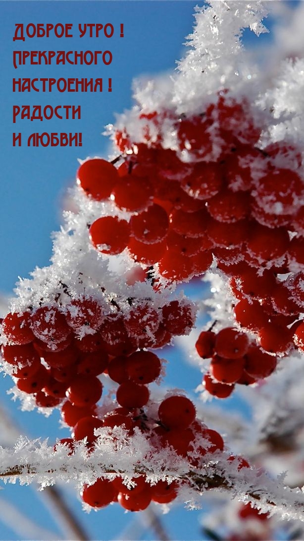 Доброе утро! Прекрасного настроения! Радости 