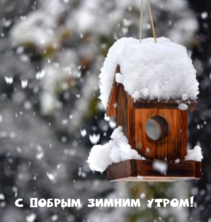 С добрым зимним утром!