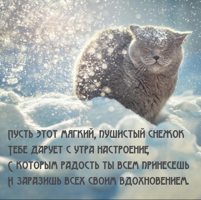 Пусть этот мягкий, пушистый снежок дарует с утра настроение