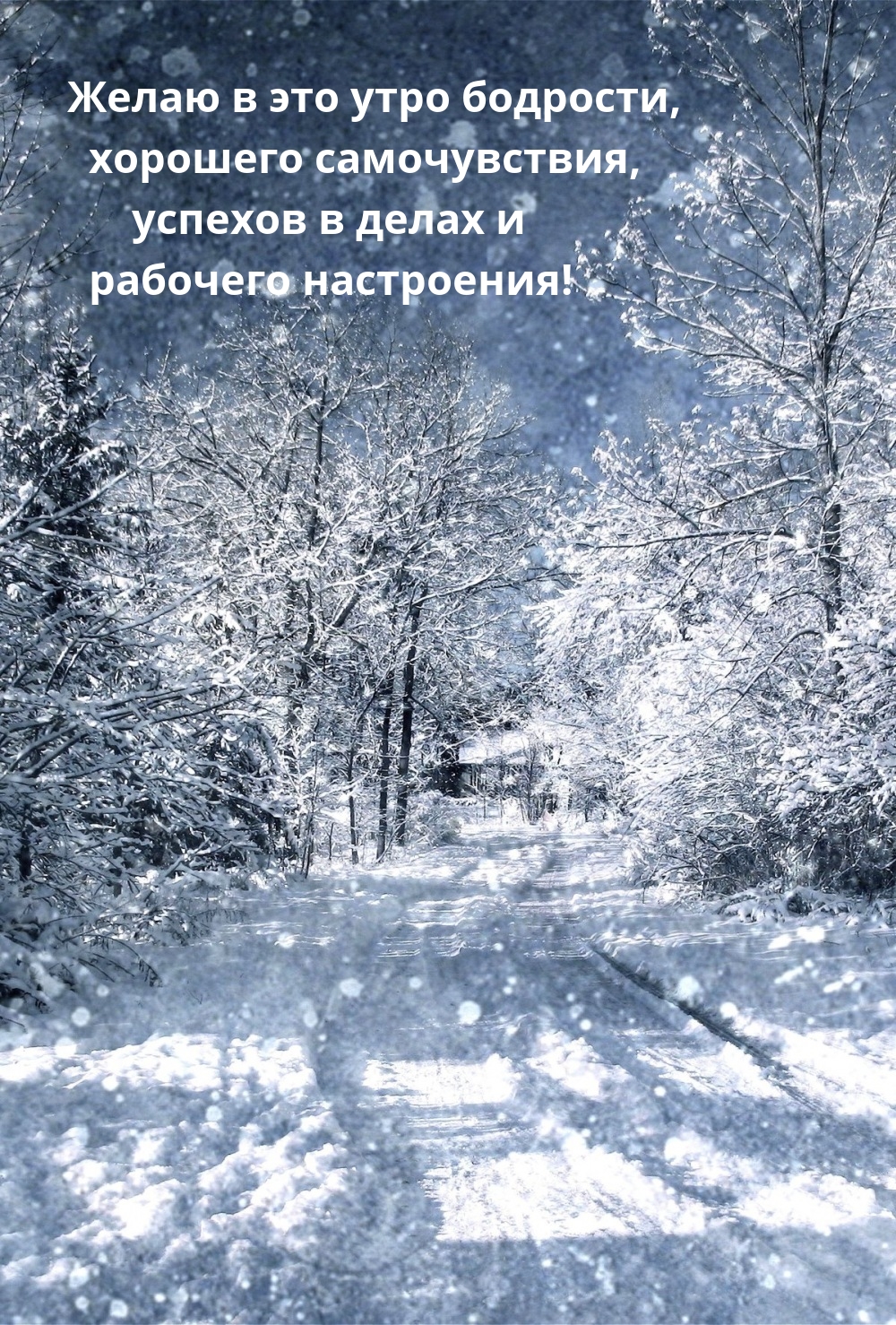 Желаю в это утро бодрости, хорошего самочувствия