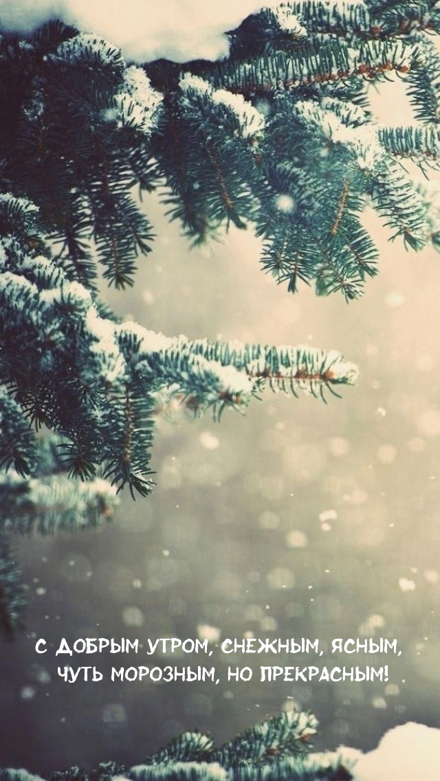 С добрым утром, снежным, ясным, чуть морозным, но прекрасным!