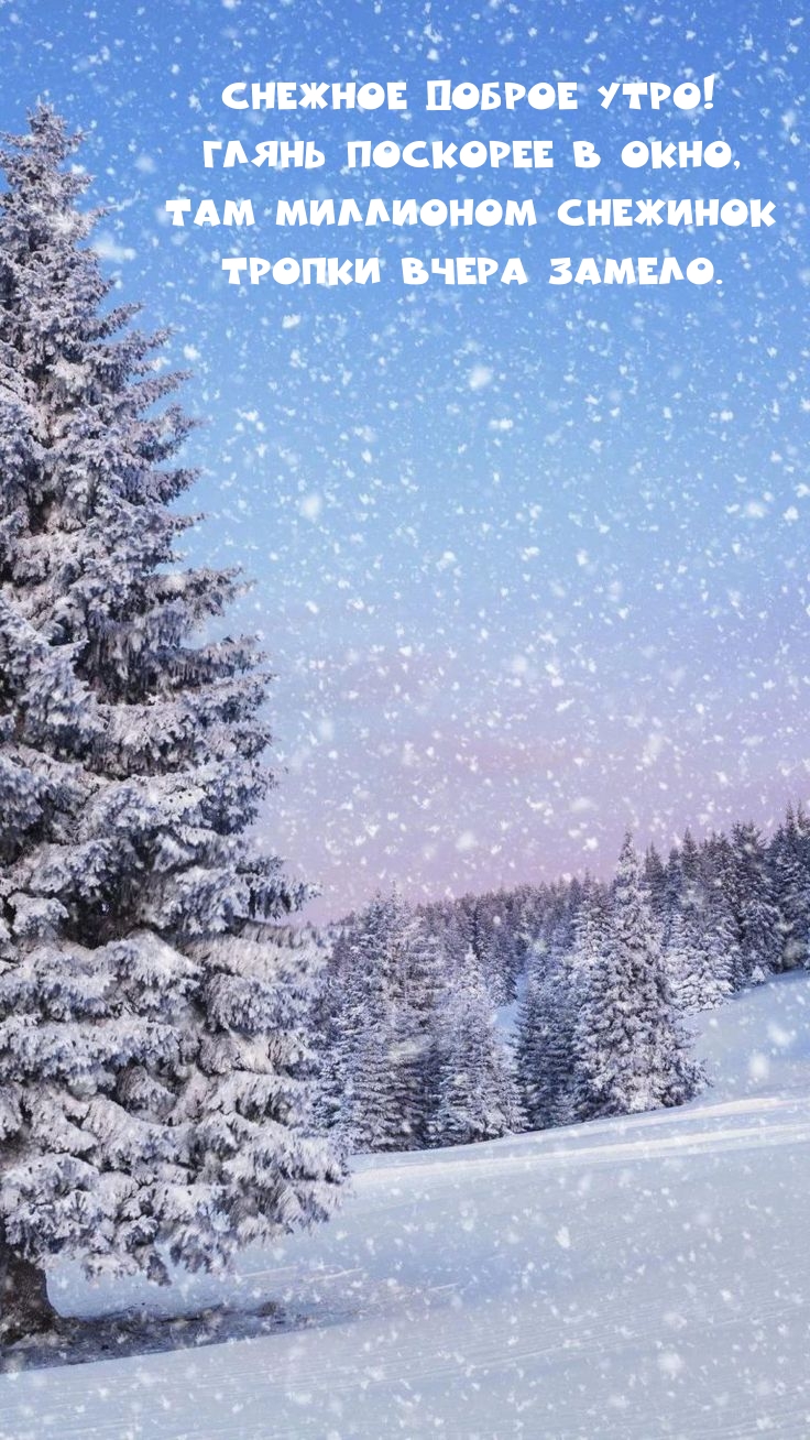 Снежное доброе утро! Глянь поскорее в окно