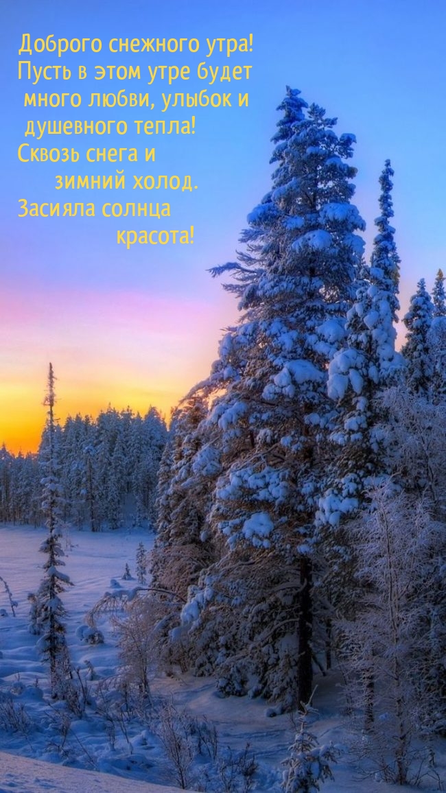 Доброго снежного утра! Пусть в этом утре будет много любви, улыбок