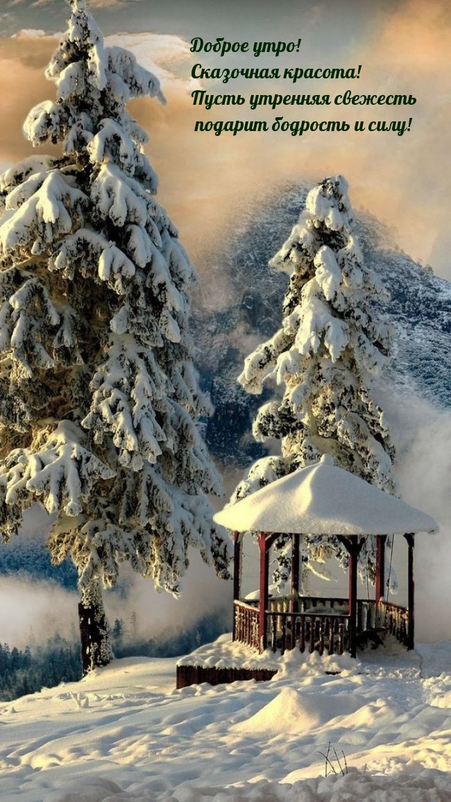 Пусть утренняя свежесть подарит бодрость и силу!