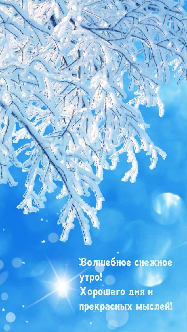 Волшебное снежное утро! Хорошего дня и прекрасных мыслей!