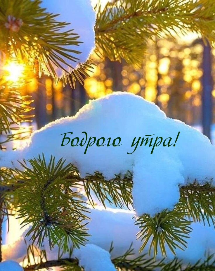 Бодрого утра!