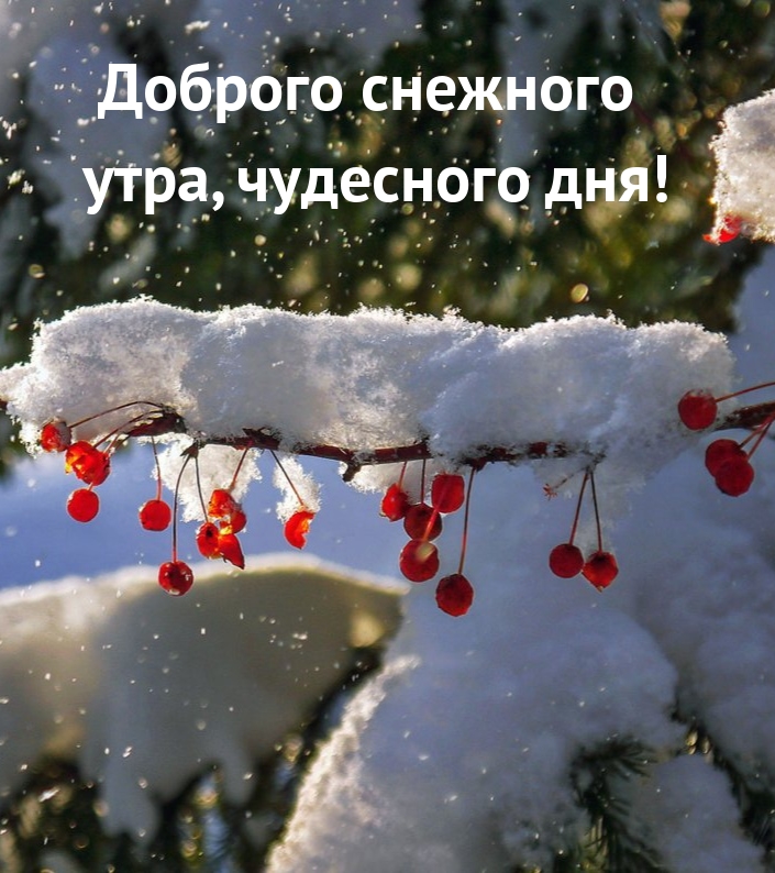Доброго снежного утра, чудесного дня!