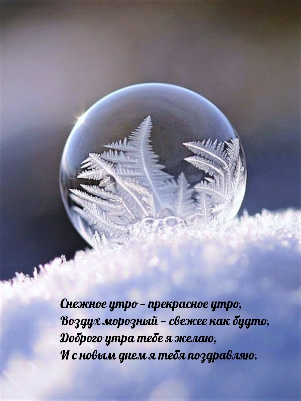 Снежное утро — прекрасное утро, воздух морозный — свежее как будто