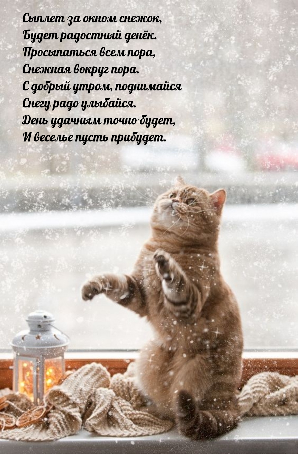 Сыплет за окном снежок, будет радостный денёк.