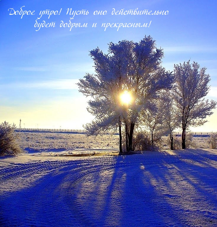 Доброе утро! Пусть оно действительно будет добрым и прекрасным! 