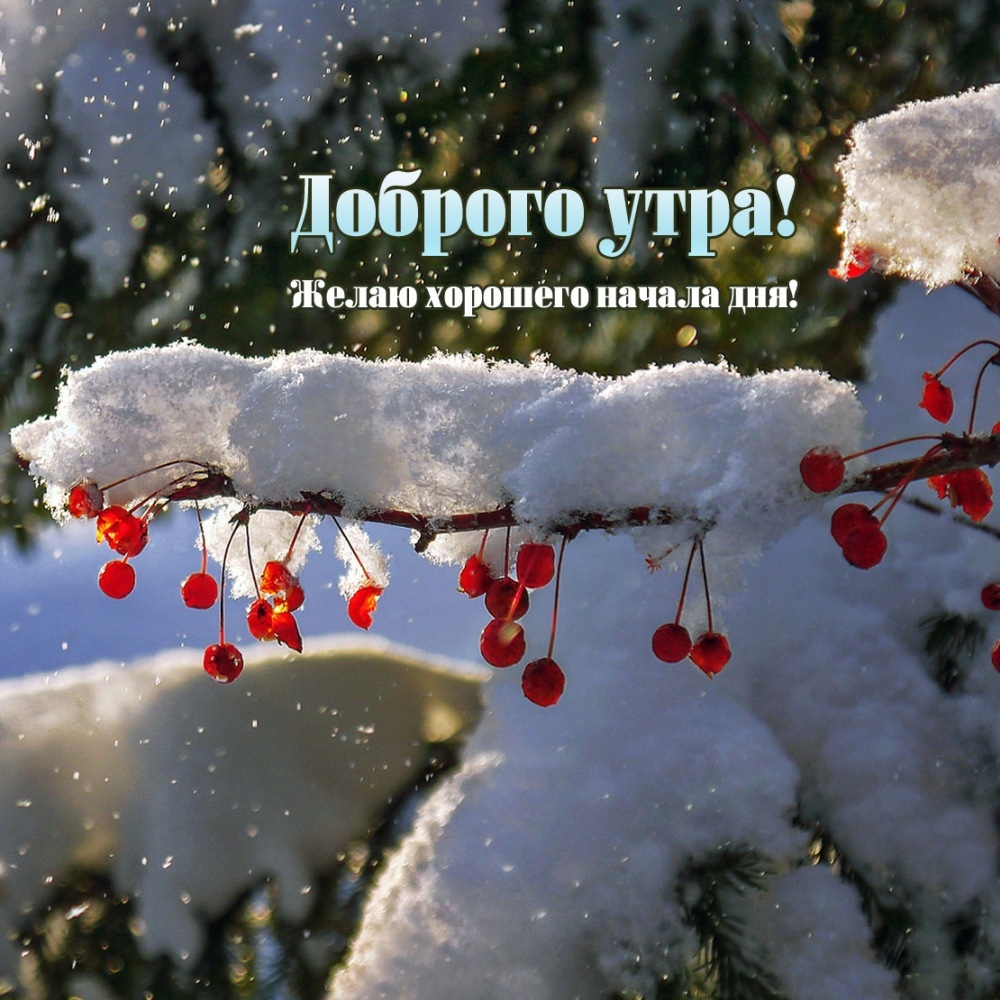 Доброго утра! Желаю хорошего начала дня!