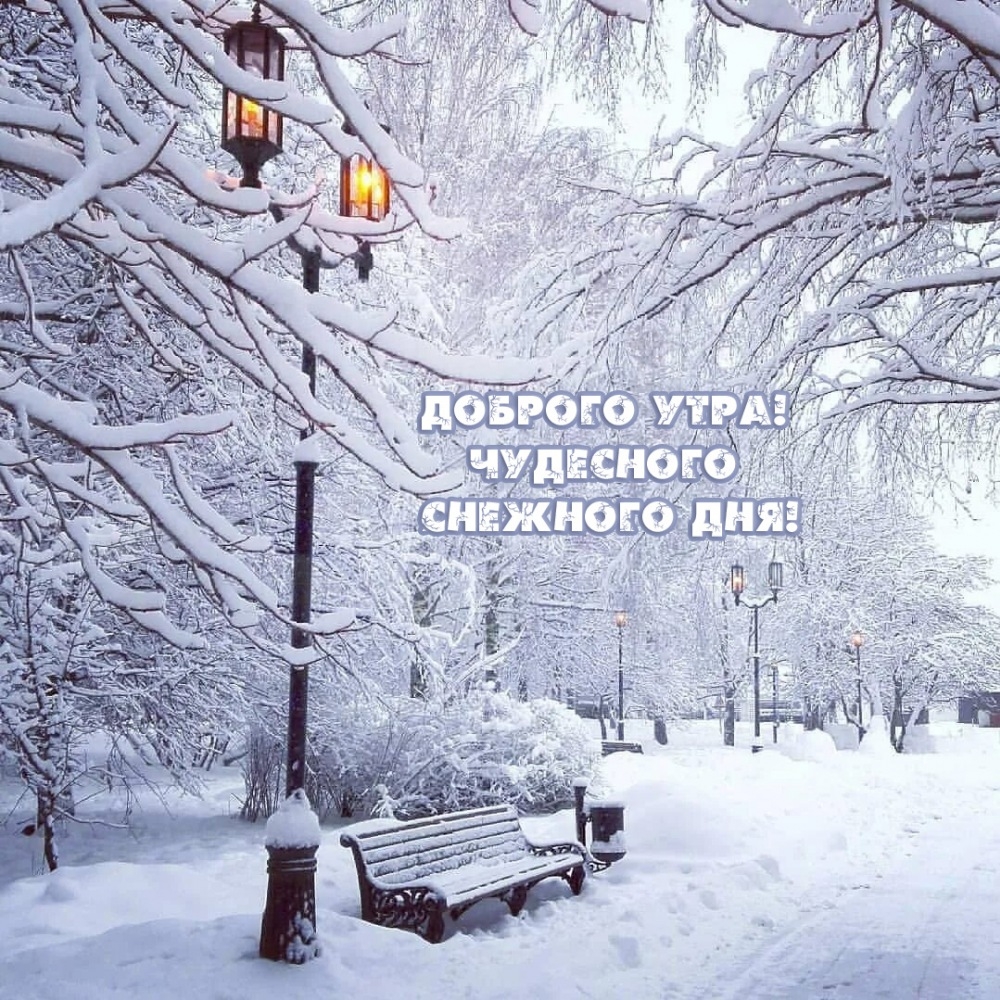 Доброго утра!  Чудесного снежного дня!