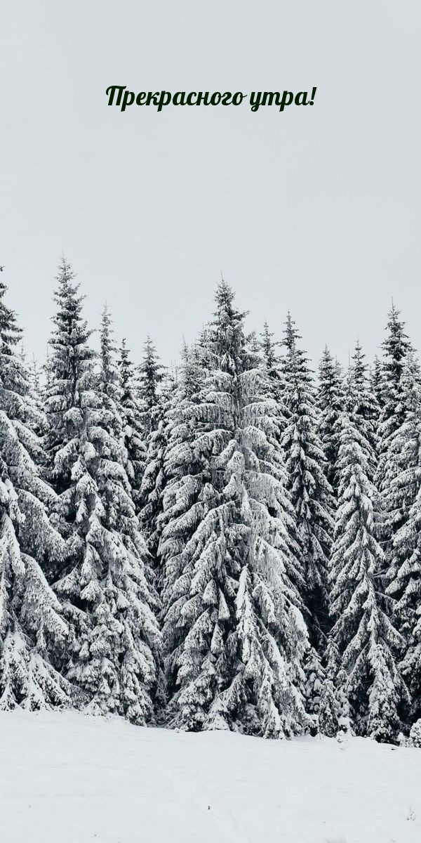 Прекрасного утра!