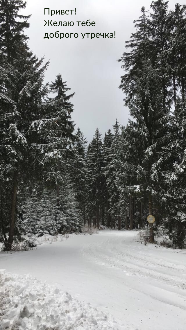 Привет! Желаю тебе доброго утречка!