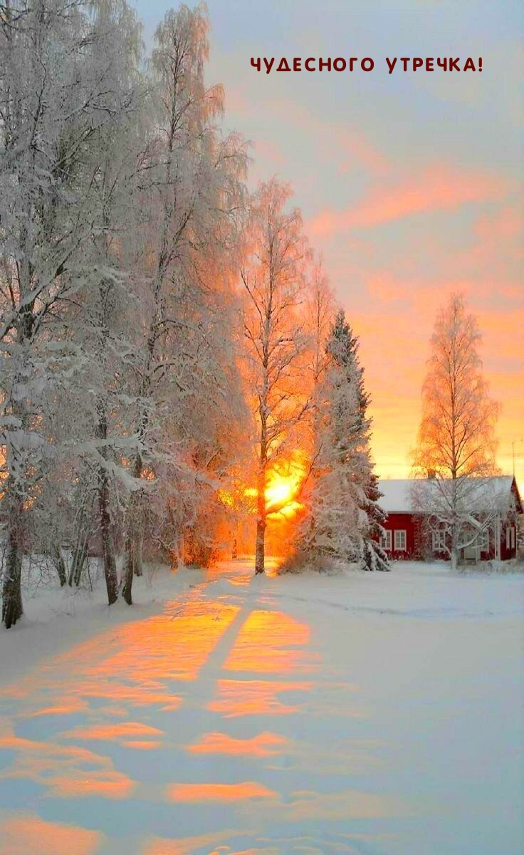 Чудесного утречка!