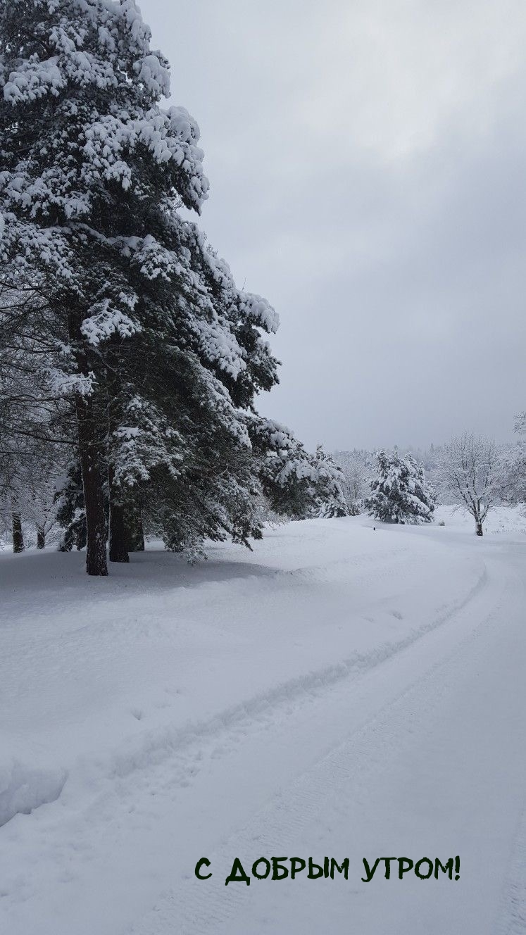 С добрым утром!