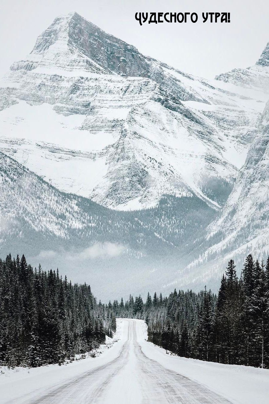 Чудесного утра!