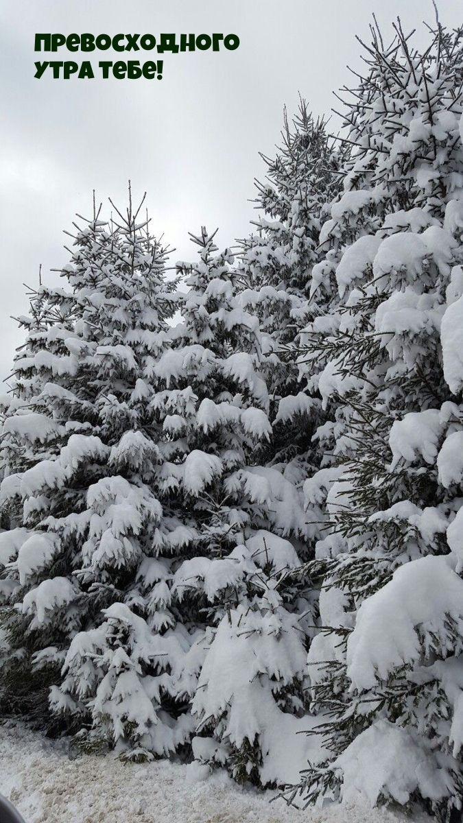 Превосходного утра тебе!