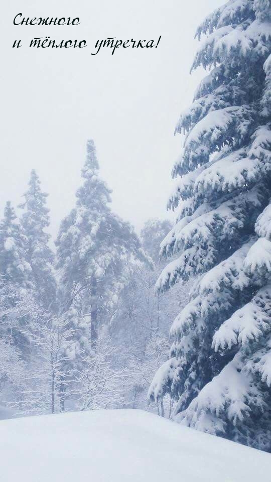 Снежного и тёплого утречка!