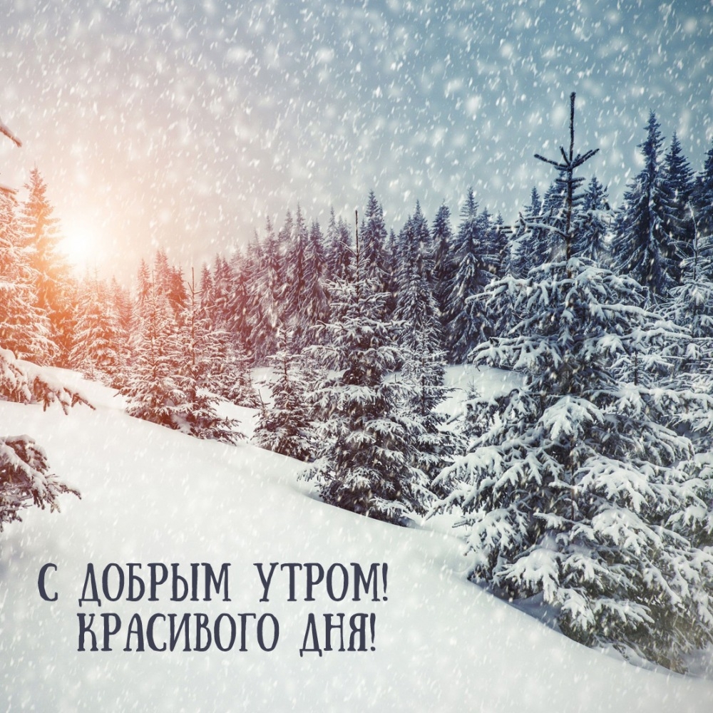 С добрым утром! Красивого дня!