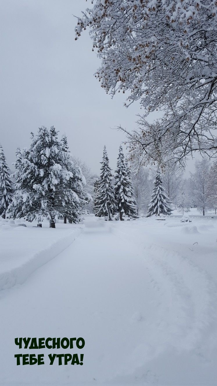 Чудесного тебе утра!