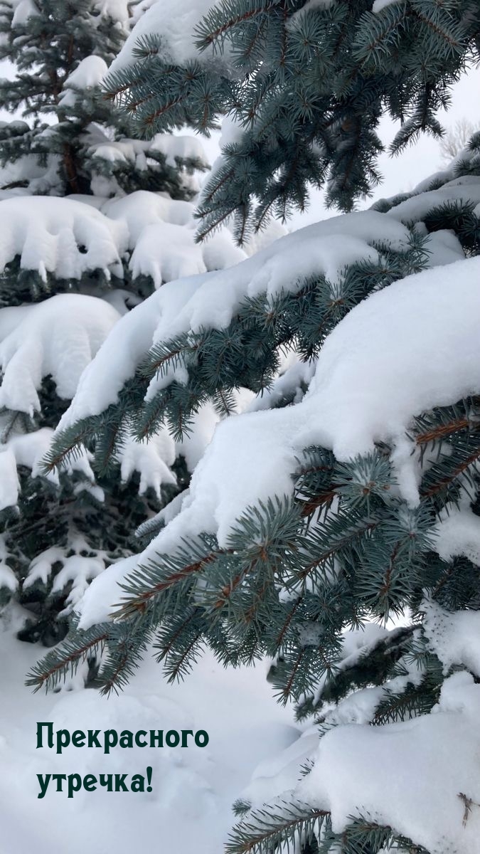 Прекрасного утречка!