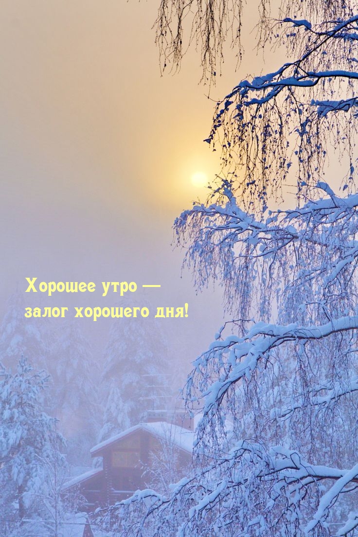 Хорошее утро — залог хорошего дня!