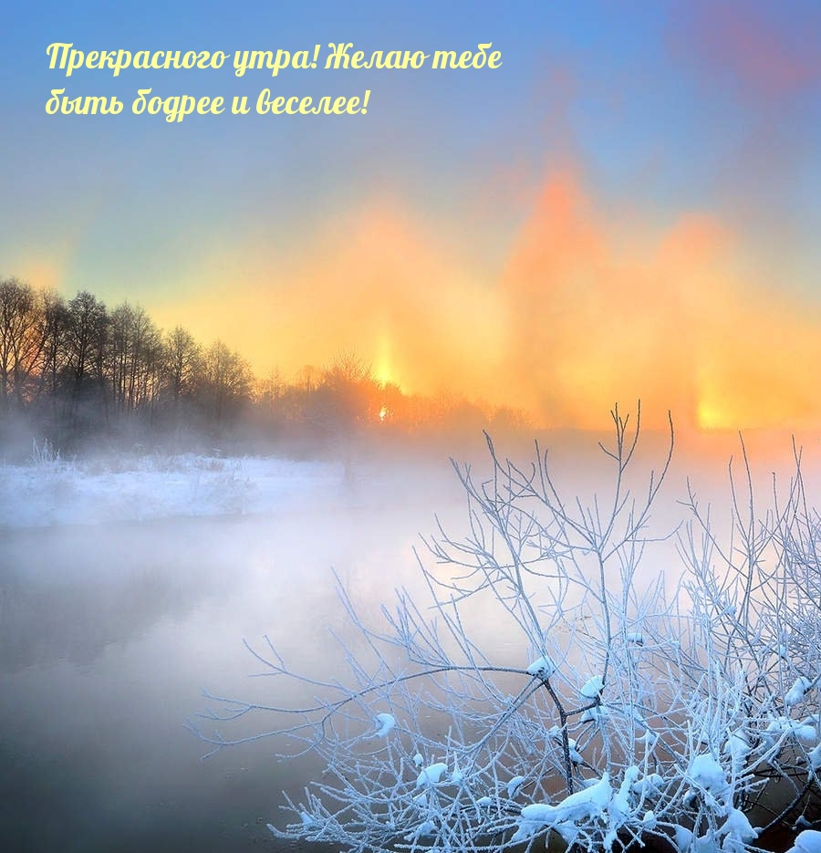 Прекрасного утра! Желаю тебе быть бодрее и веселее!