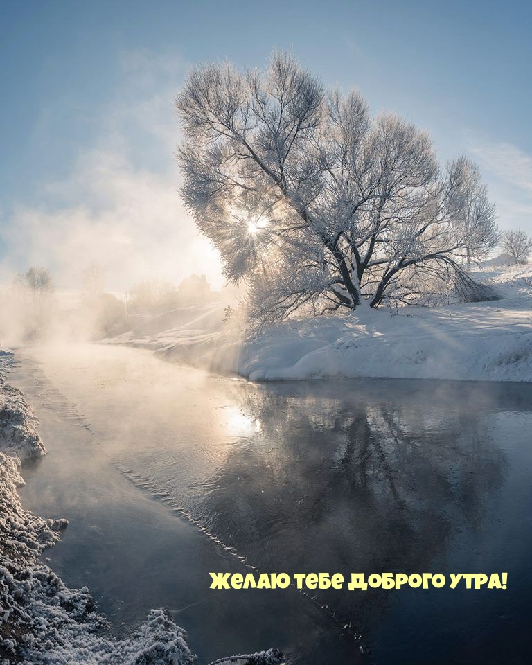 Желаю тебе доброго утра!