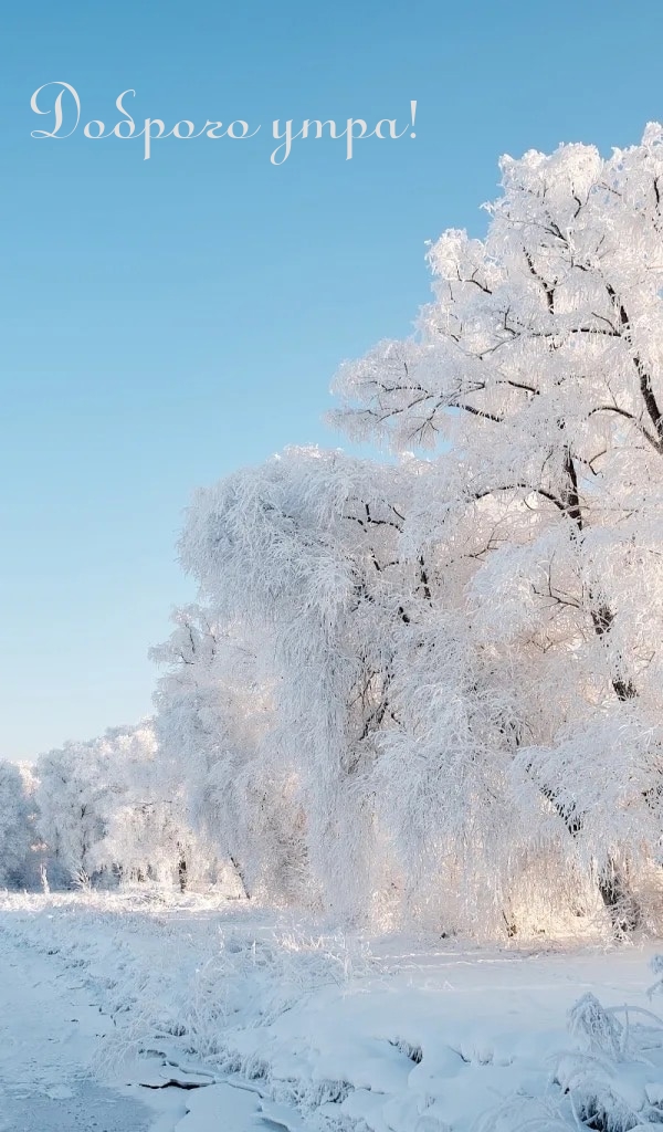 Доброго утра!