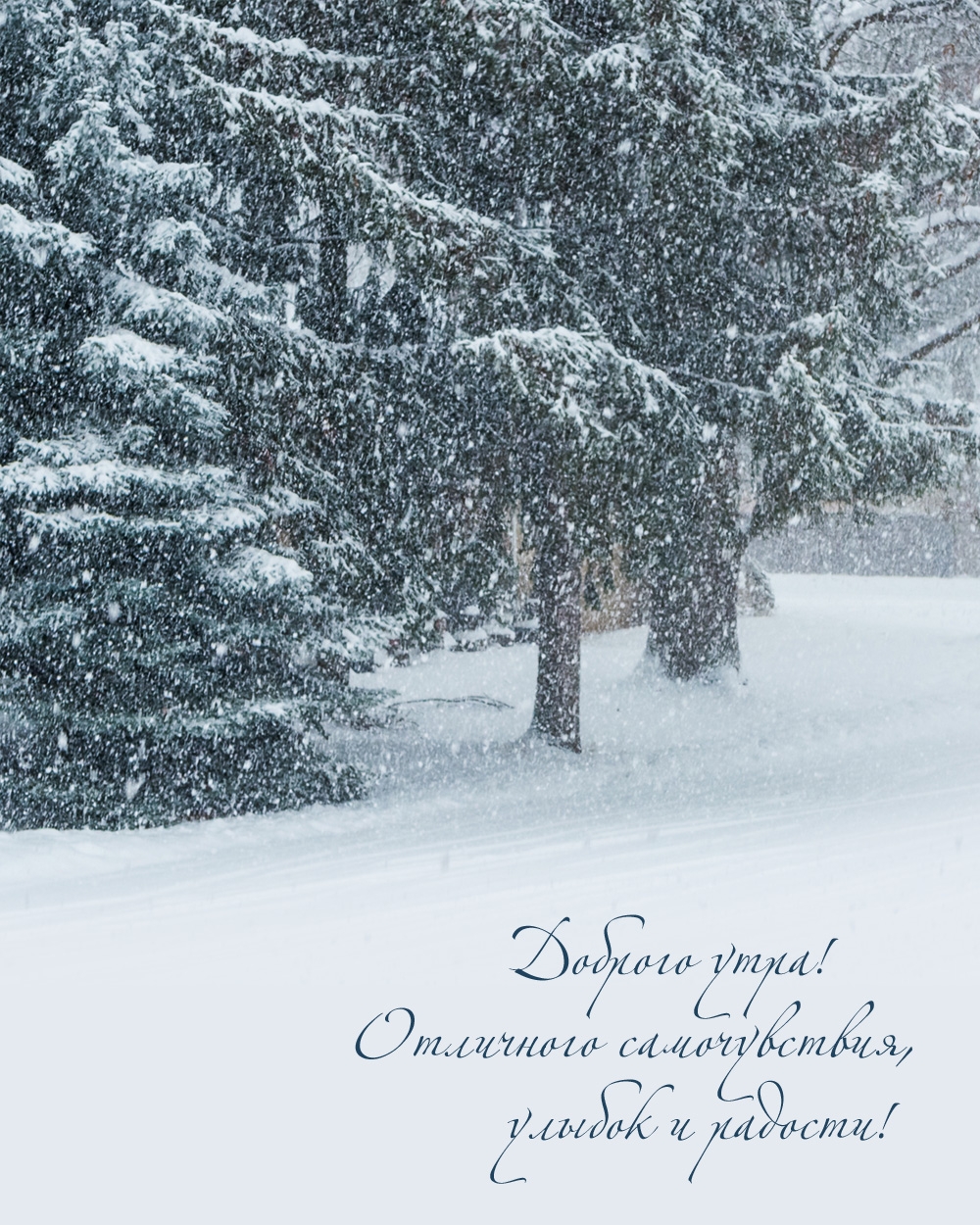 Доброго утра! Отличного самочувствия 