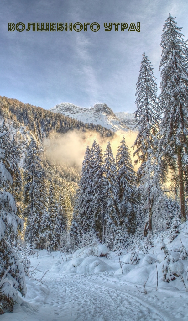 Волшебного утра!