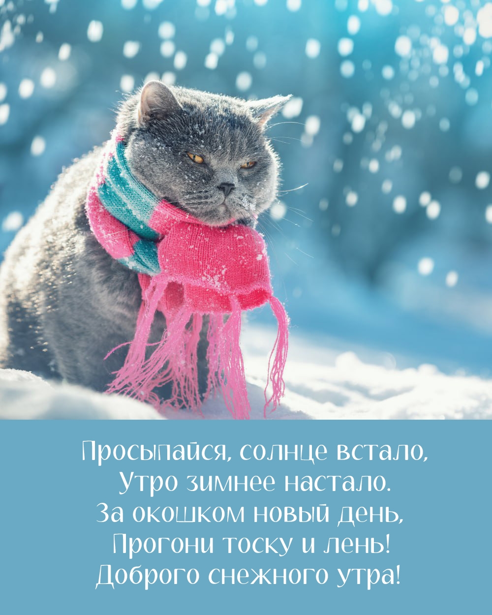 Просыпайся, солнце встало, утро зимнее настало.