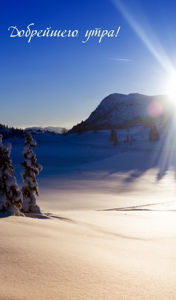 Добрейшего утра!