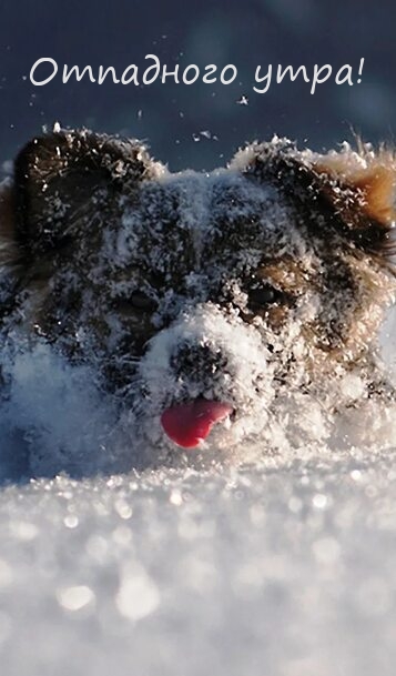 Отпадного утра!